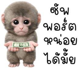 ลายที่ 65