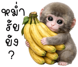 ลายที่ 67