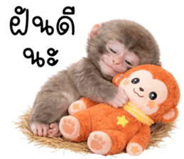 ลายที่ 69