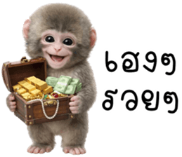 ลายที่ 71