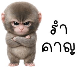 ลายที่ 75