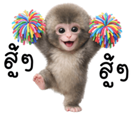 ลายที่ 77