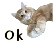 820344068