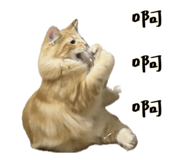 820344070