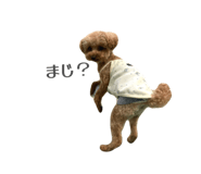 820362207
