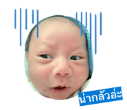 820385494