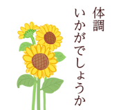 820393215