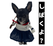820393626