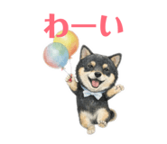 820402435