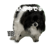 820408013