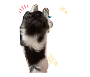 820408016