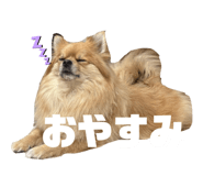820408017