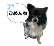 820408018