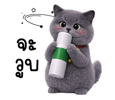 ลายที่ 8