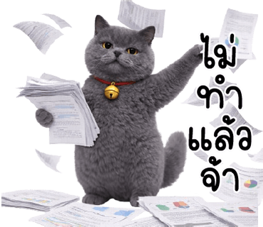 ลายที่ 9