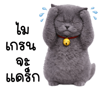 ลายที่ 15