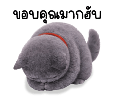 ลายที่ 23