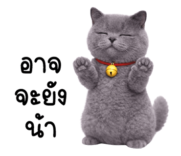 ลายที่ 27