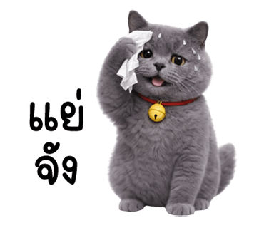 ลายที่ 28