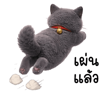 ลายที่ 32