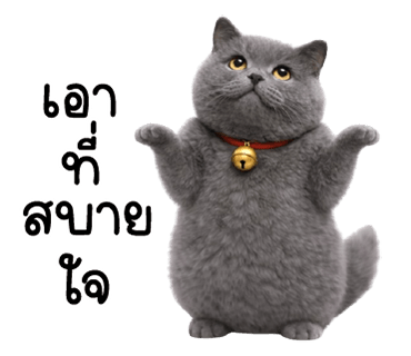 ลายที่ 35