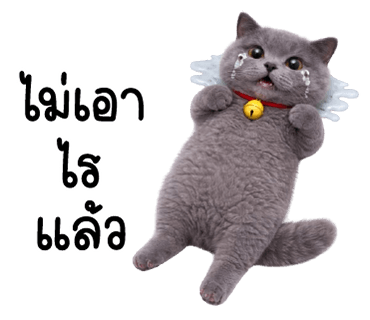 ลายที่ 36