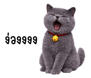 ลายที่ 39