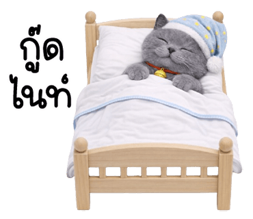 ลายที่ 40