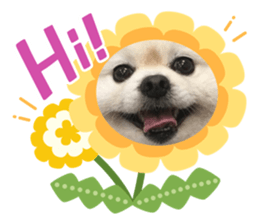 820472019