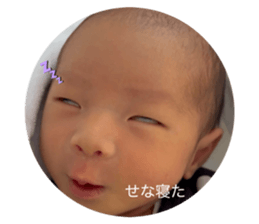 820482446
