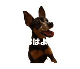 820485466