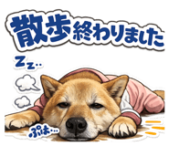 820487962