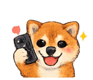 820490977