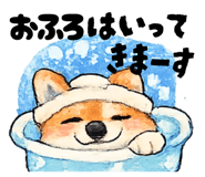 820490982