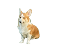 820491842
