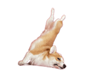 820491845