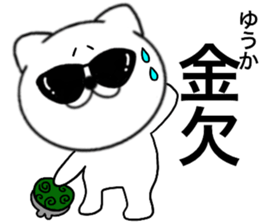 82052556