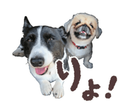 820525608