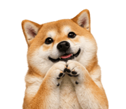 820577497