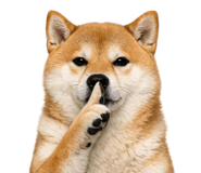 820577505