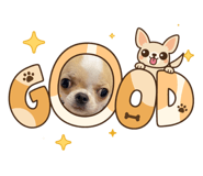 820590661