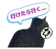 820593053