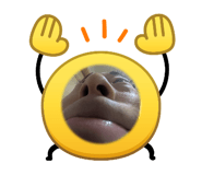 820595619