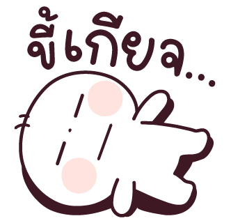 ลายที่ 13