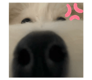 820638217