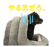 820640330