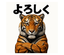 820642653