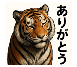 820642654