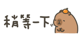820680834