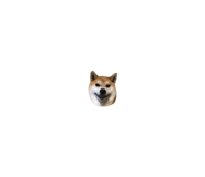 820691555